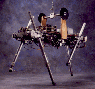 Quadruped