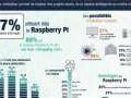 Le Raspberry Pi, premier nano-ordinateur pl�biscit� par 67% de la communaut� des makers