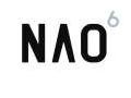 NAO6 le robot humano�de polyvalent